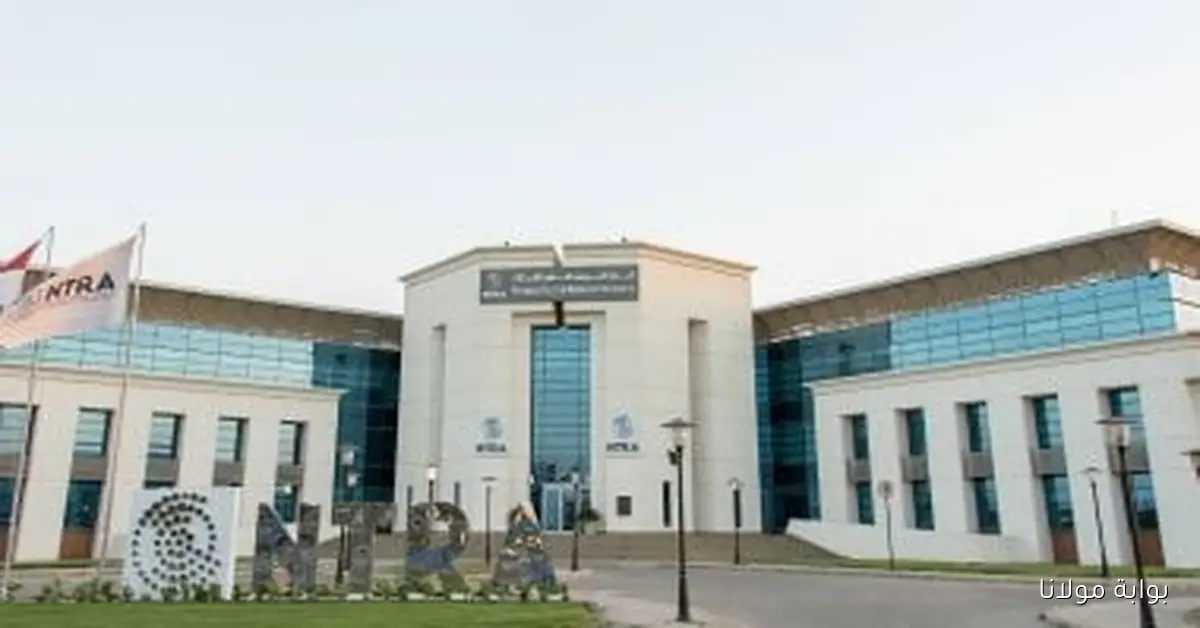 شركات المحمول تسعى للحصول على ترددات جديدة لتعزيز خدماتها في السوق