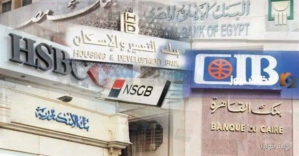 هل تتغير مواعيد عمل البنوك في مصر مع بدء التوقيت الشتوي 2025 في مصر