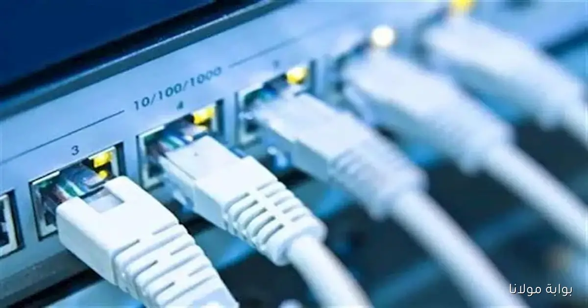 كيفية نقل خدمة الإنترنت الأرضي بين الشركات خلال 72 ساعة