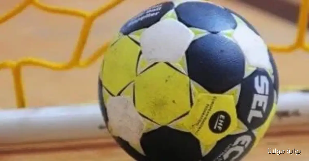 مؤتمر صحفي اليوم للإعلان عن تفاصيل كأس بارتيللي لكرة اليد في العاصمة الإدارية
