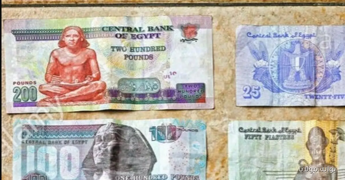 للموظفين.. إعرف موعد صرف المرتبات شهر سبتمبر والأيام المحددة للصرف بأمر وزارة المالية