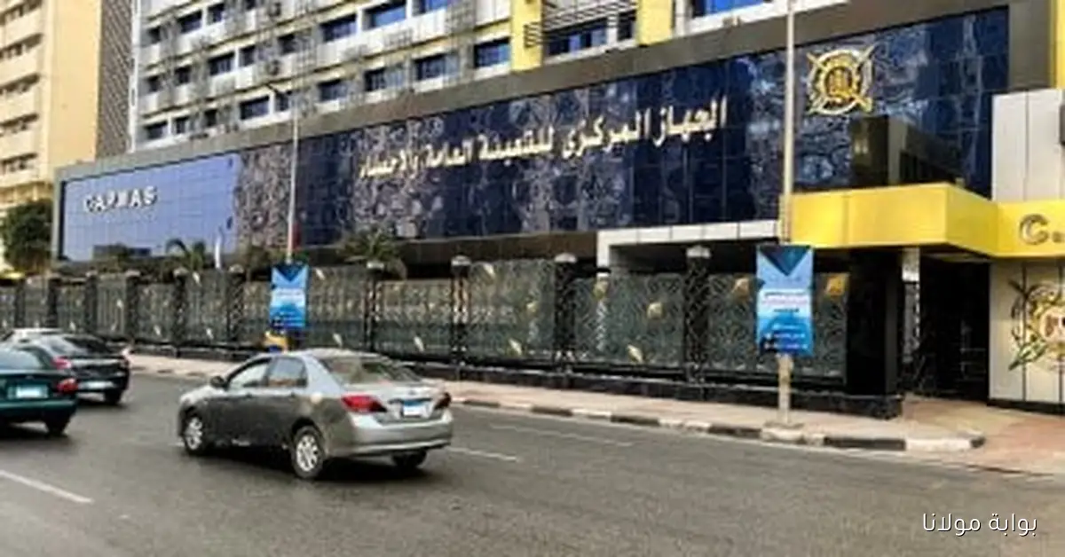 مصر تتربع على عرش مشروعات الهيدروجين منخفض الكربون في المنطقة العربية