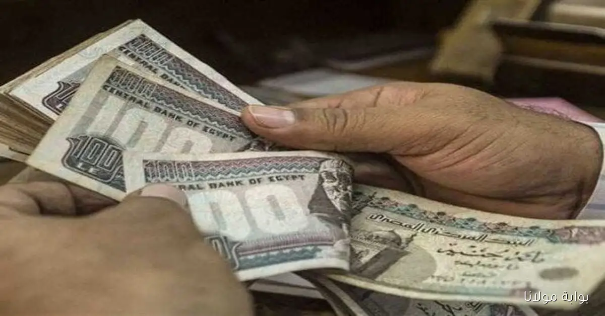 موعد صرف معاشات شهر أكتوبر في مصر 2025 وآليات الاستعلام