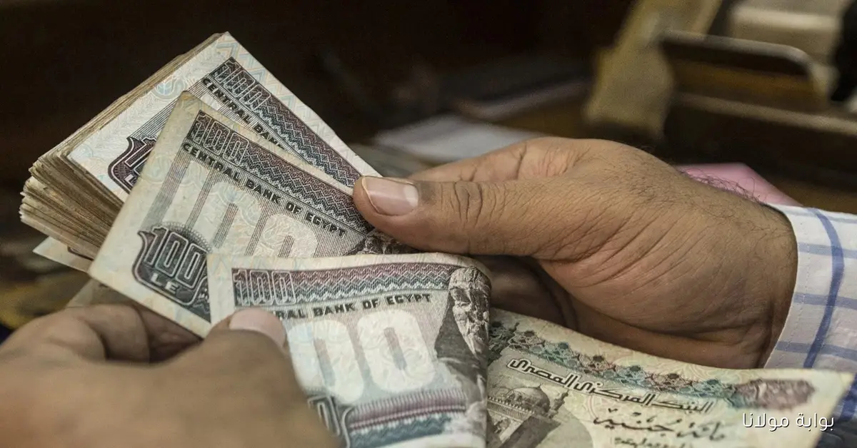 وزارة المالية تُحدد.. موعد صرف مرتبات شهر سبتمبر 2025 وجدول الحد الأدنى للأجور في مصر
