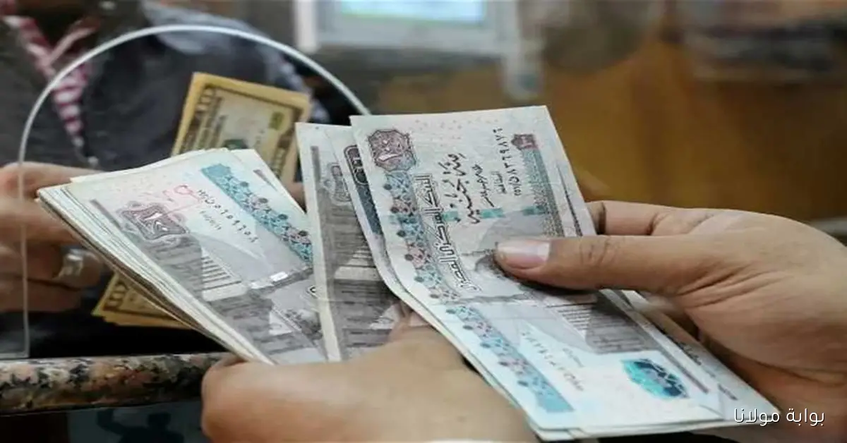 موعد صرف معاشات أكتوبر 2025 وكيفية الاستعلام عن القيمة بعد الزيادة الأخيرة