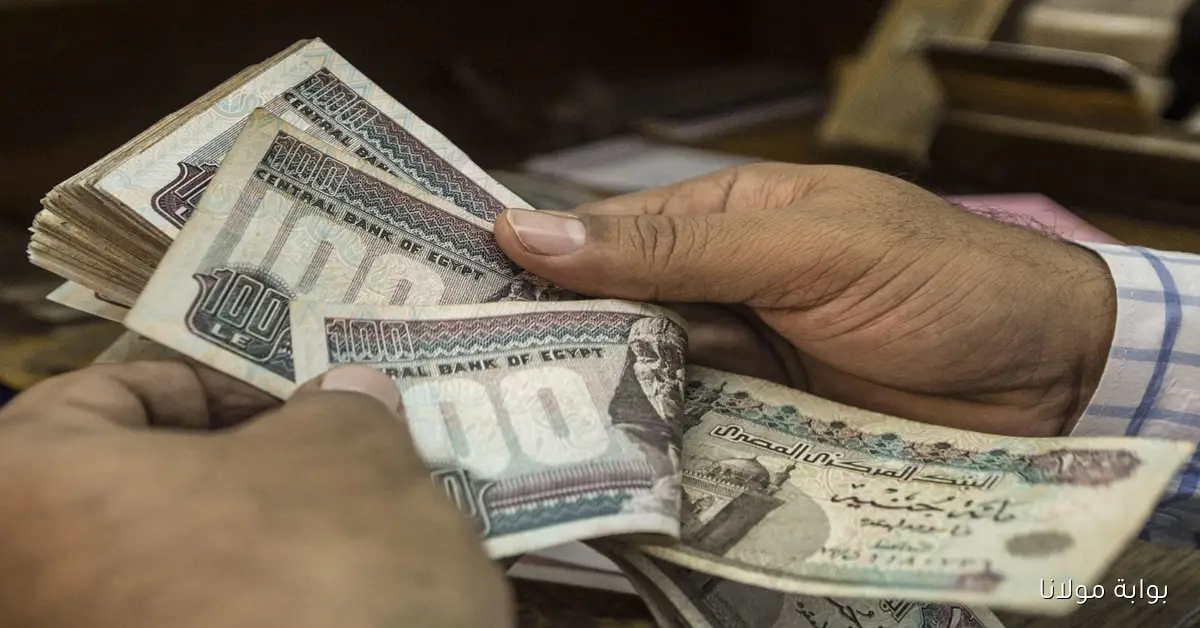 موعد صرف معاشات أكتوبر 2025 وكيفية الاستعلام عنها إلكترونيًا بسهولة