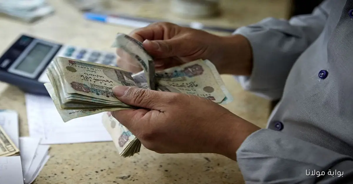 معاشك امتى؟؟ موعد صرف معاشات شهر أكتوبر 2025 وخطوات الاستعلام عنها عبر الموقع nosi.gov.eg
