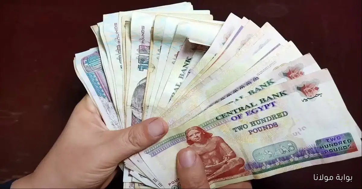 وفقًا لقرار الهيئة القومية للتأمينات .. موعد صرف معاشات شهر أكتوبر 2025 وجدول الشرائح بعد الزيادة الأخيرة