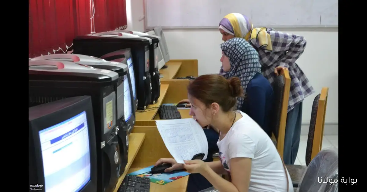 سريع وفعال.. لينك tansik.digital.gov.eg نتيجة تقليل الاغتراب 2025 المرحلة الثالثة برقم الجلوس