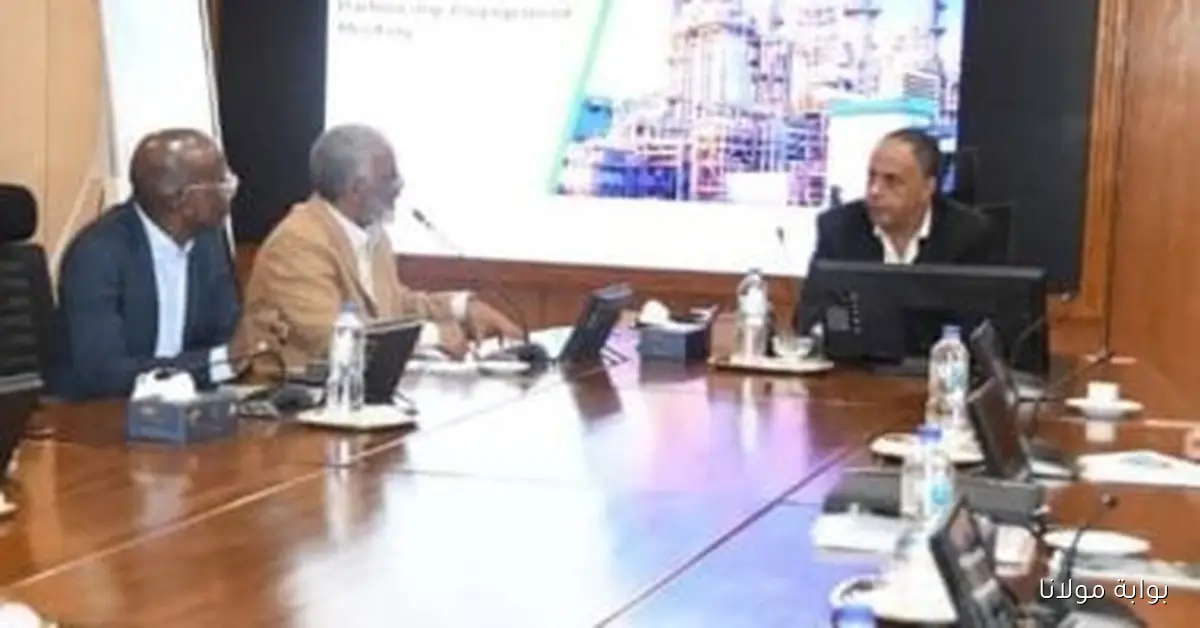 هيئة البترول تعزز التعاون مع الشركات المصرية لرفع مساهمتها في مشاريع نيجيريا