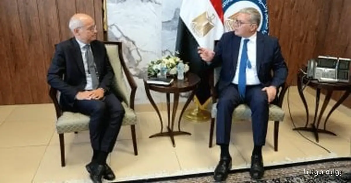 وزير البترول يتباحث مع توتال إنرجيز حول فرص الاستثمار الواعدة في شرق المتوسط