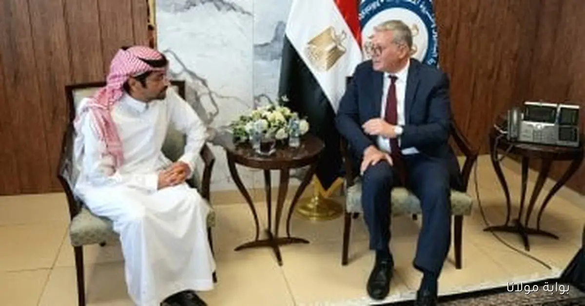 وزير البترول يستكشف فرص تعزيز الاستثمارات السعودية في قطاع البتروكيماويات المصري