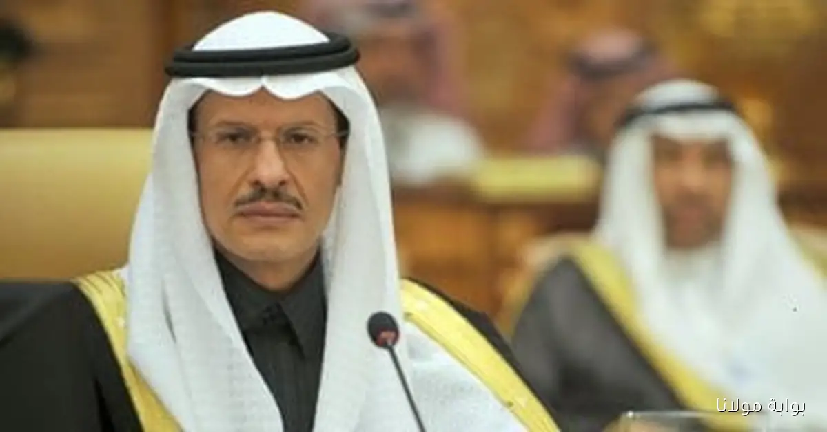 وزير الطاقة يؤكد استمرار السعودية في مشروعها النووي بجميع مكوناته