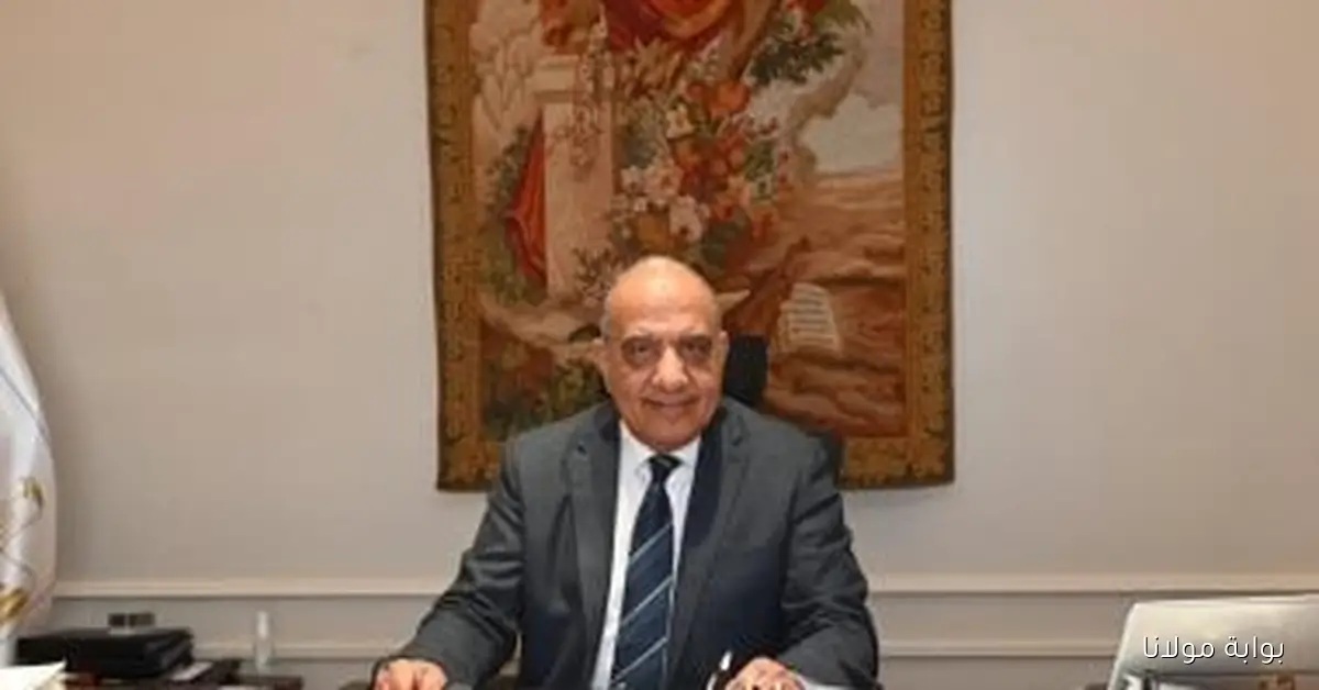 وزير الكهرباء يكشف عن تقدم ملحوظ في مشروع الضبعة ويؤكد وصول الإنجاز إلى 46% بحلول 2026