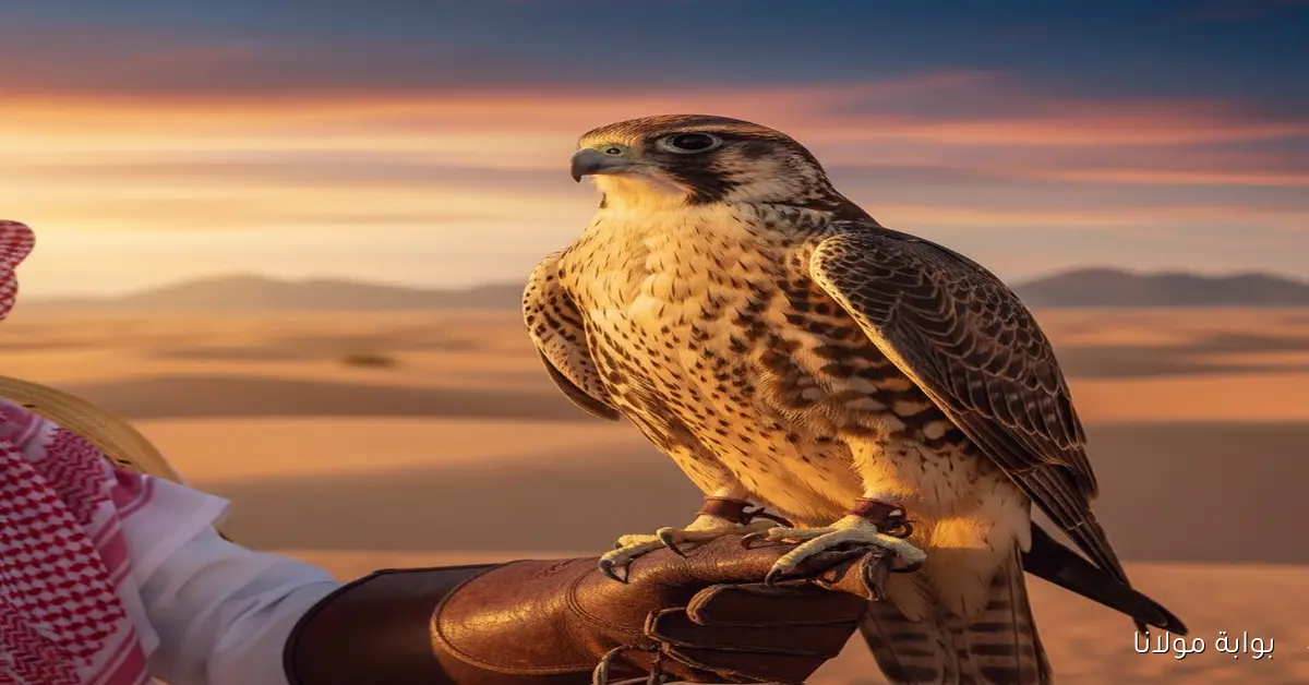 معرض الصقور والصيد السعودي الدولي 2025 ينطلق غدًا بمشاركة 1300 عارض من 45 دولة