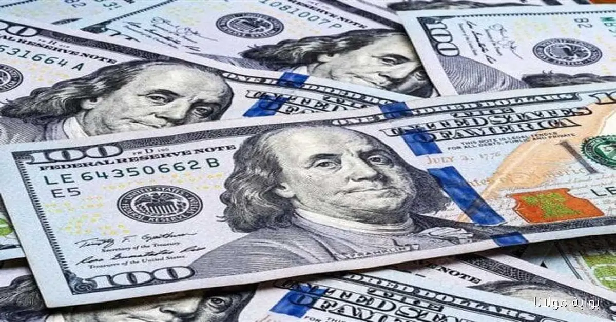 بكام الأخضر ؟.. سعر الدولار اليوم في مصر صباح الخميس 2 أكتوبر