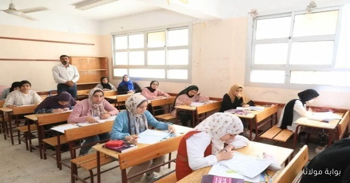 تحميل سريع.. رابط موقع وزارة التربية والتعليم التقييمات الاسبوعيه 2026 لجميع الصفوف
