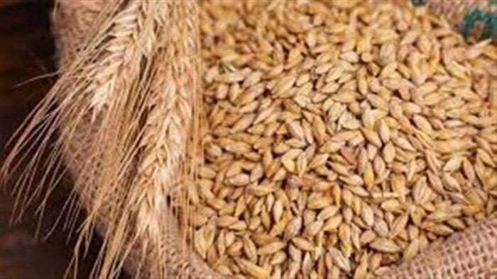 سعر طن الأرز الأبيض