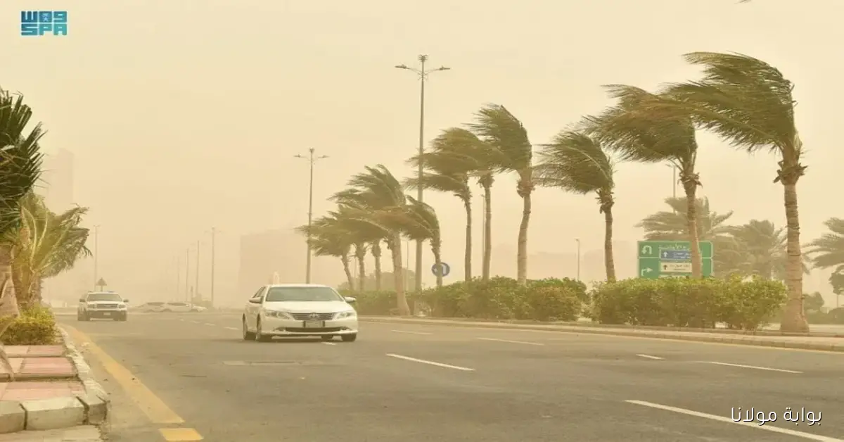 توقعات جوية مثيرة: رياح وأتربة في خمس مناطق وأمطار رعدية جنوب المملكة