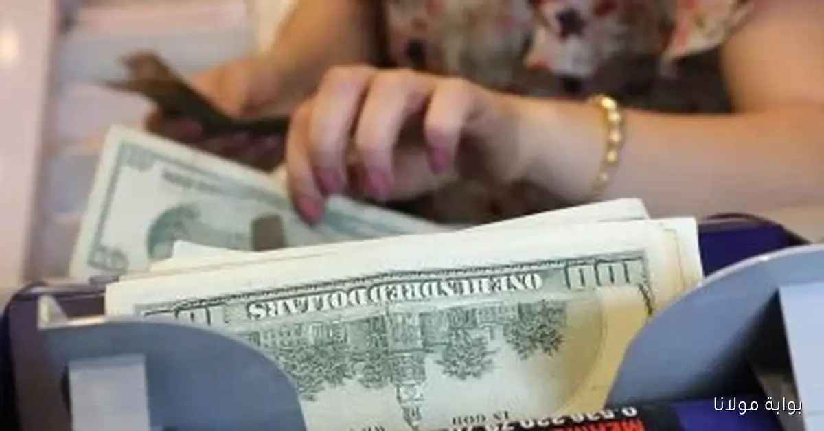 تحديث مستمر لأسعار الدولار مقابل الجنيه اليوم الجمعة 3 أكتوبر 2025