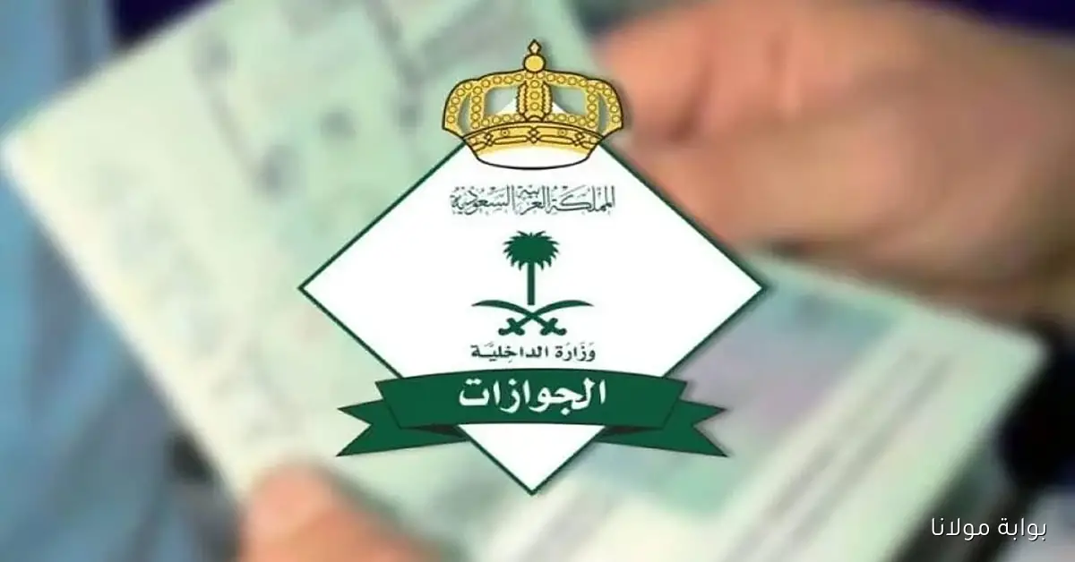 «خطوات سهلة لاستعراض هوية الزائر الرقمية عبر منصة أبشر»