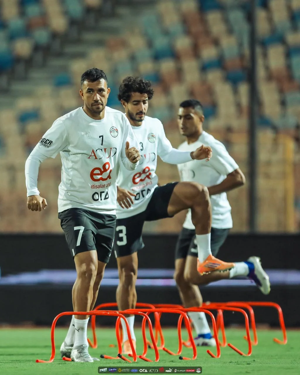 تريزيجيه وهاني تريزيجيه وهاني