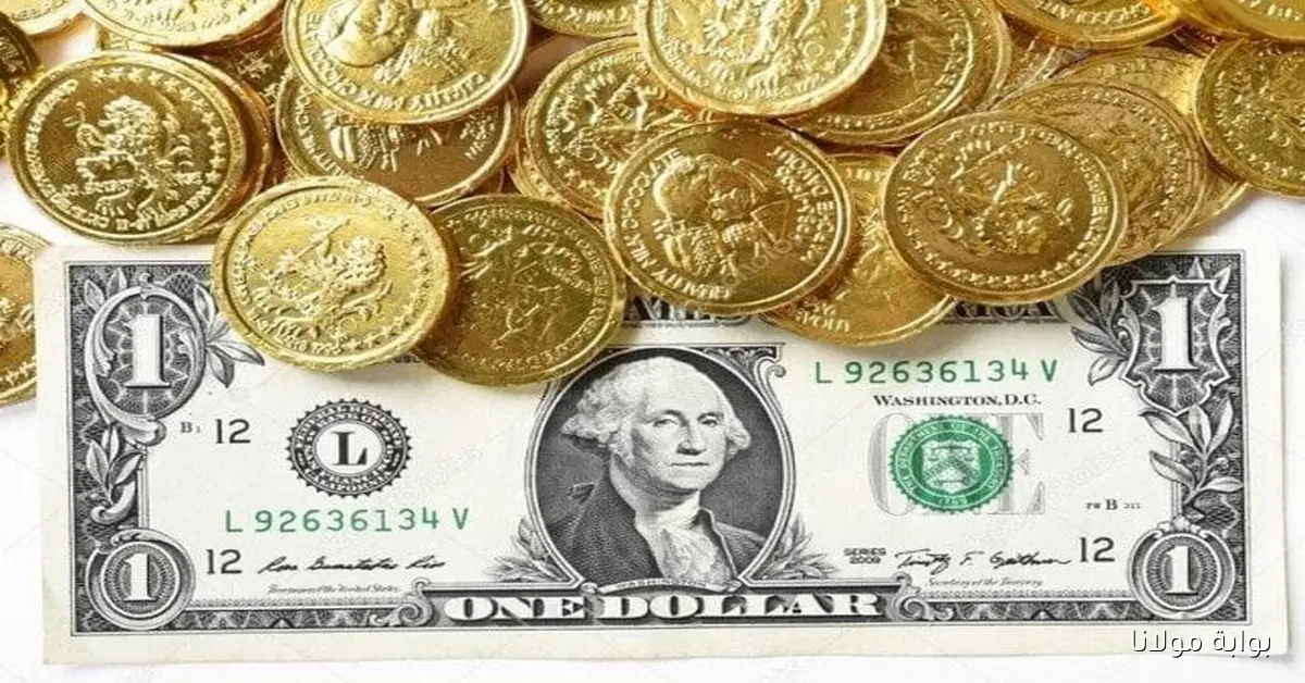 استقرار الدولار مع ارتفاع ملحوظ في أسعار الذهب اليوم السبت 11 أكتوبر 2025