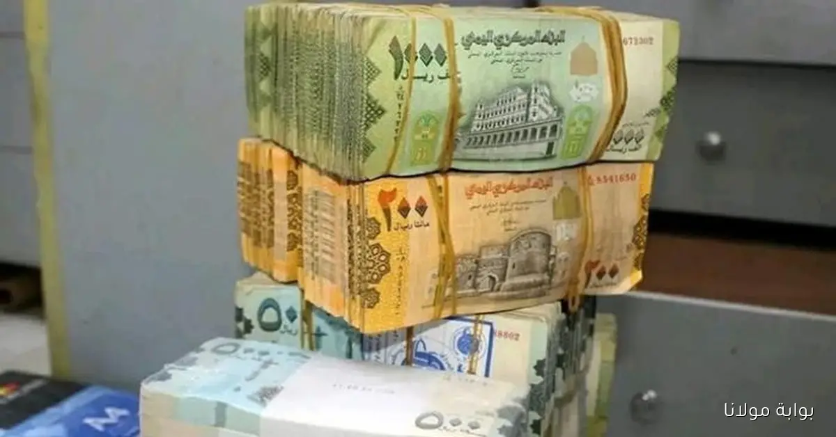 5 قرارات عاجلة أنقذت الريال اليمني.. وتحذيرات من تحديات اقتصادية قادمة
