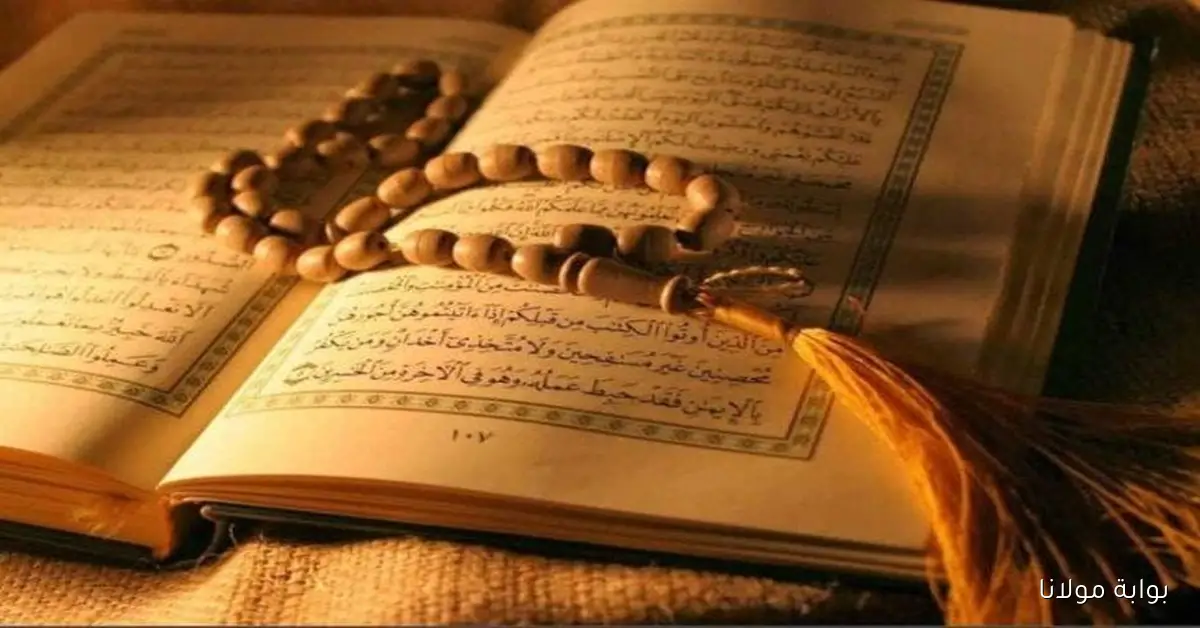 ردد الآن.. أجمل أدعية الصباح اليوم الثلاثاء 7 أكتوبر 2025 مكتوب