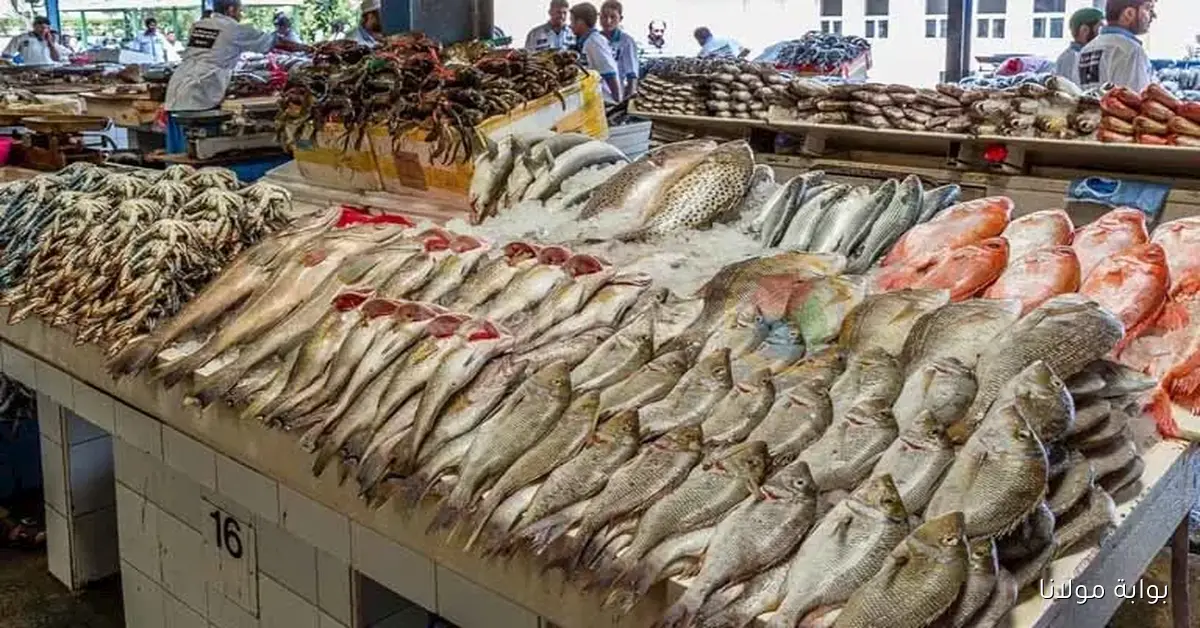 البلطي بكام.. أسعار الأسماك والأكلات البحرية في سوق العبور تشهد زيادة ملحوظة في ظل ارتفاع أسعار الكابوريا