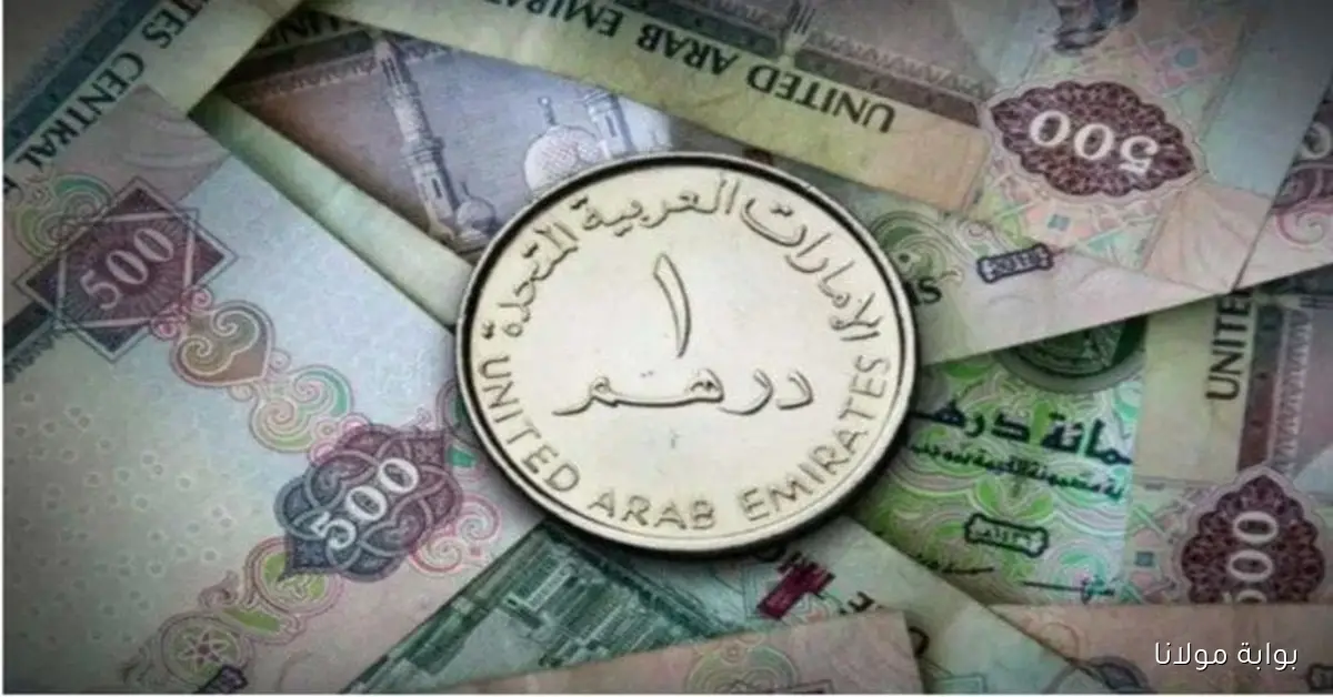 أسعار الدرهم الإماراتي في مصر اليوم الثلاثاء 7 أكتوبر 2025
