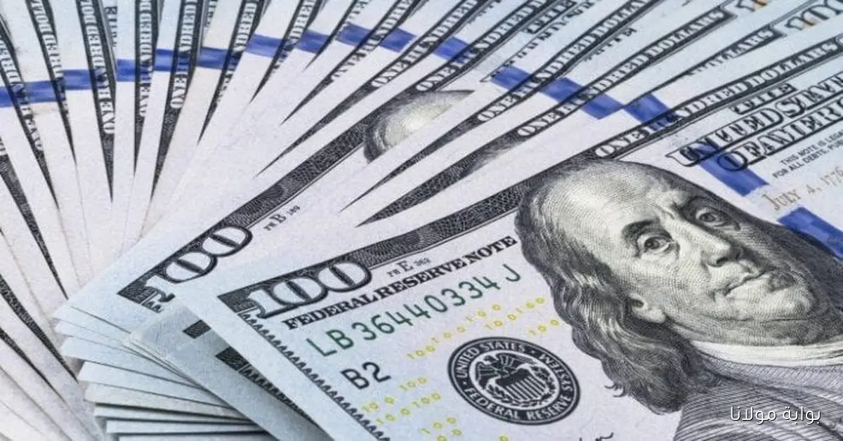 أسعار الدولار اليوم أمام الجنيه المصري الأحد 12 أكتوبر 2025 هل حقًا الأخضر في ارتفاع؟