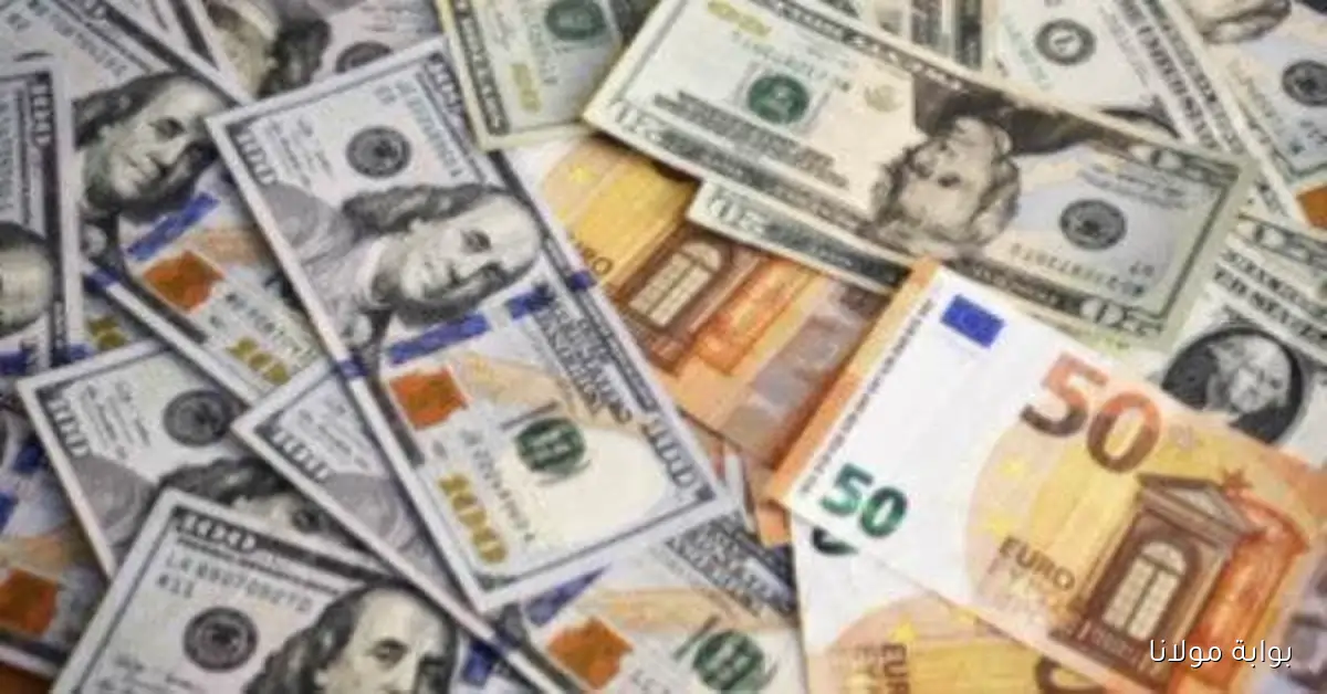 الدولار والريال بكام .. أسعار العملات العربية والأجنبية اليوم السبت 11 أكتوبر 2025 في البنوك تتغير باستمرار