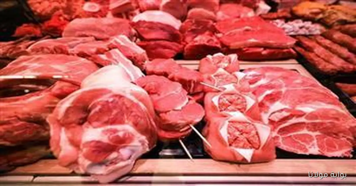 الريش الضاني بكام .. قفزة غير متوقعة في أسعار اللحوم البلدي اليوم الخميس 2 أكتوبر