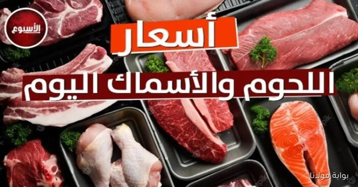 أسعار اللحوم اليوم الخميس 9 أكتوبر 2025 المفروم بسعر 460 جنيهًا