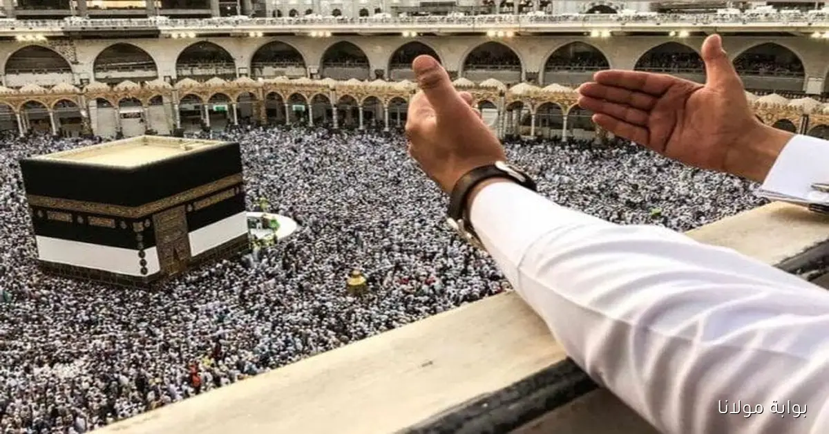 بكام العمره.. أسعار رحلات عمرة أكتوبر 2025 في مصر برامج مميزة تناسب كل الميزانيات