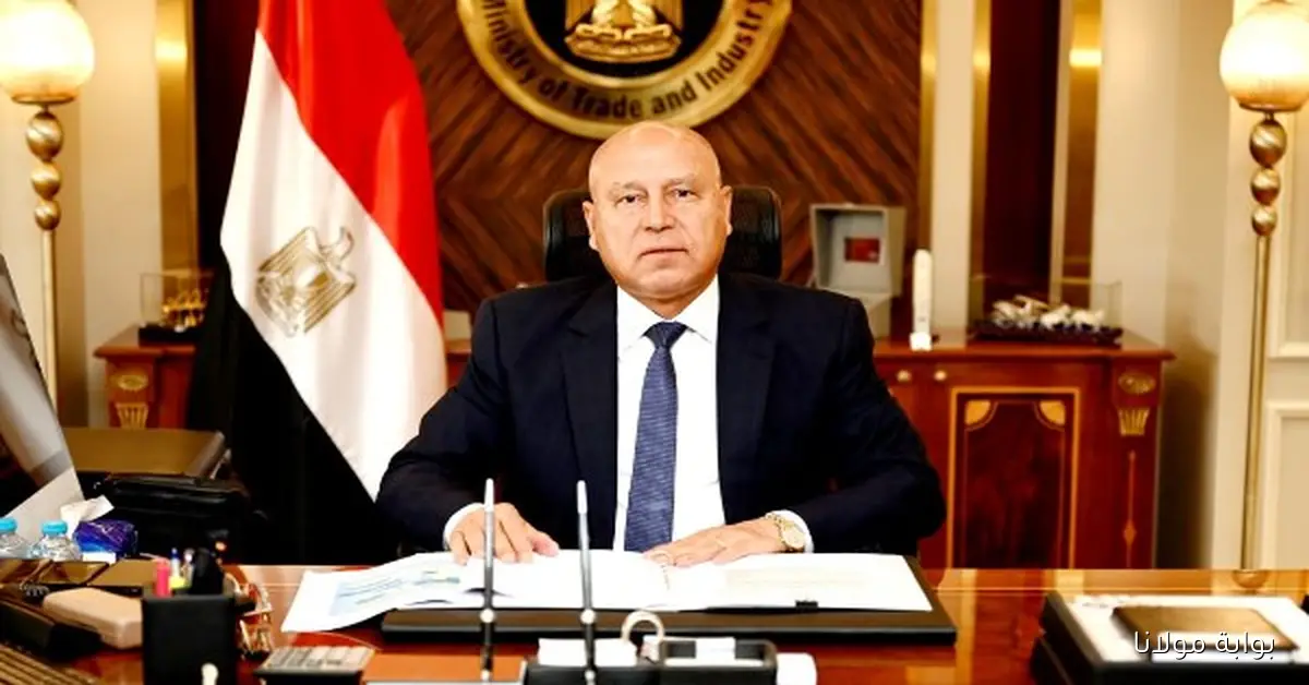 إطلاق 386 وحدة صناعية جاهزة للتسليم الفوري في 12 مجمعاً بـ 11 محافظة