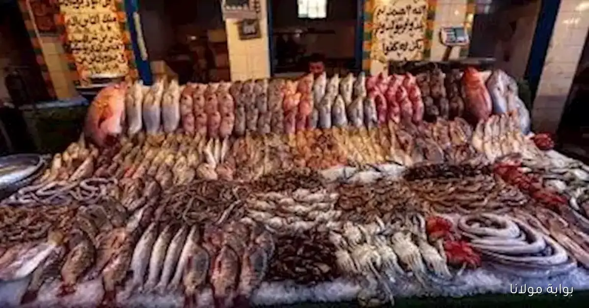 ارتفاع أسعار البلطي في سوق العبور وتأثيره على أسعار الأسماك والمأكولات البحرية