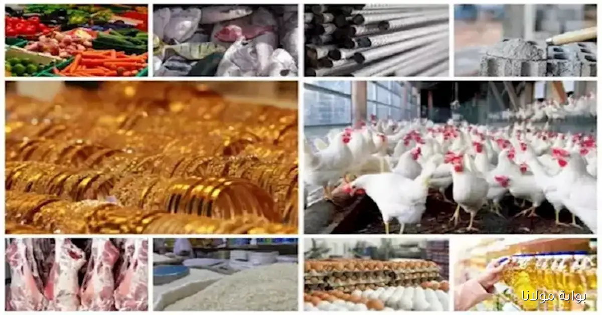 ارتفاع سعر الفراخ البيضاء والأسمنت والذهب في السوق المصري اليوم