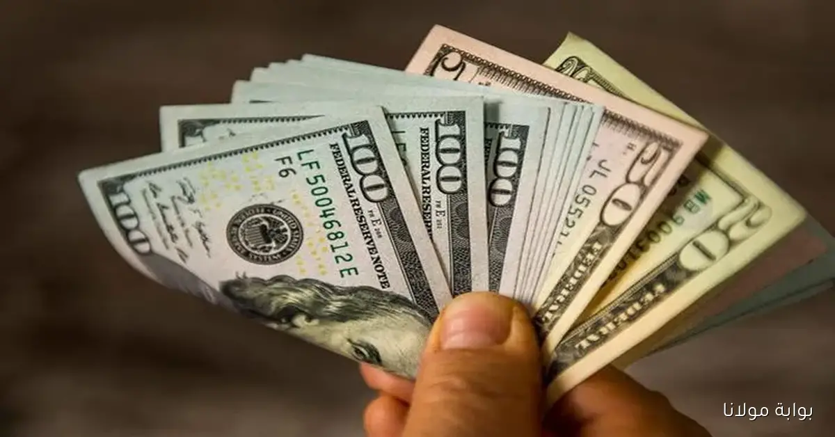 ارتفاع سعر الدولار اليوم 3 أكتوبر 2025 وتأثيره على الاقتصاد المحلي