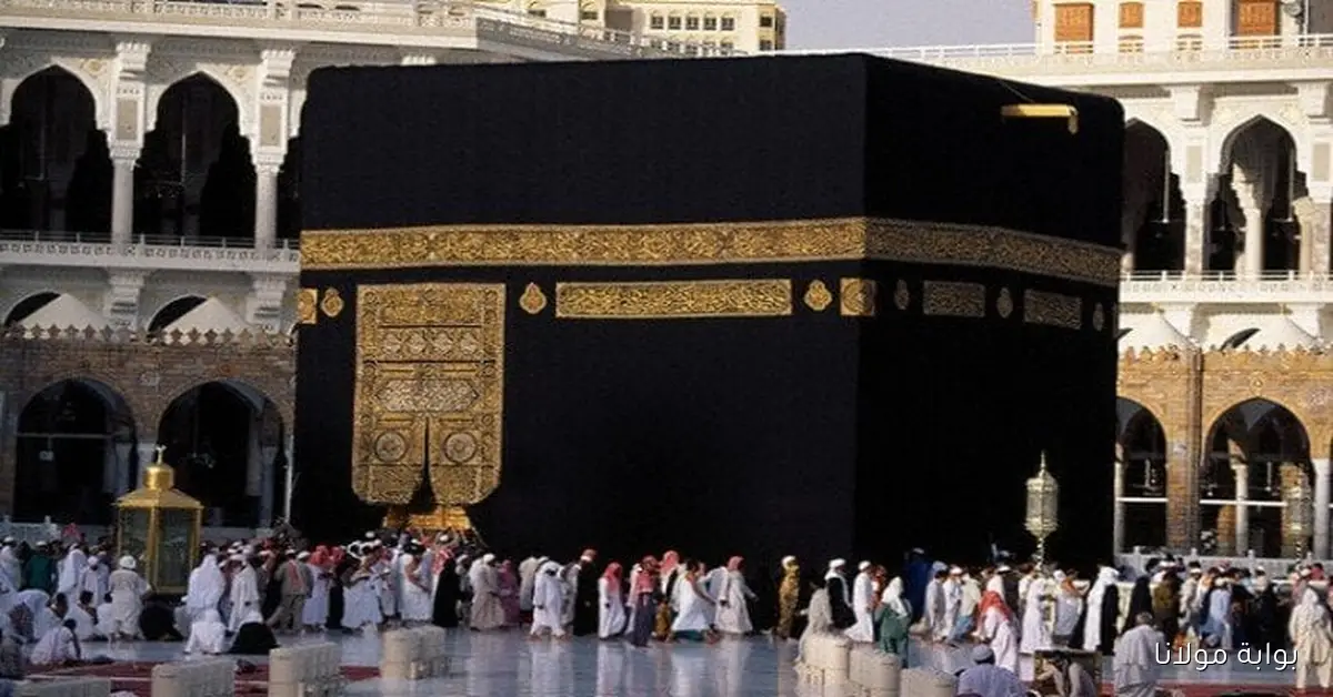 استعد لحج القرعة 2026 مع قائمة التطعيمات الضرورية والفئات الممنوعة من السفر