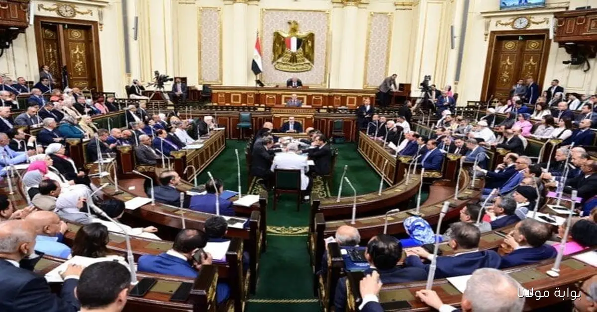 استعدوا لانتخابات مجلس النواب 2025… مواعيد هامة داخل البلاد وخارجها
