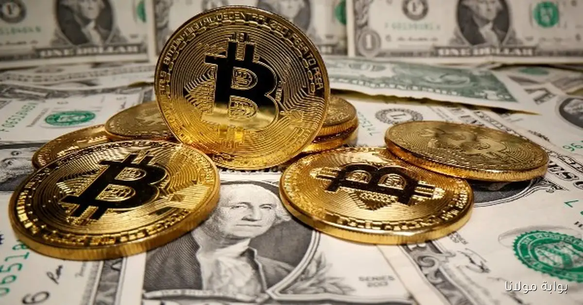 استقرار سعر الدولار مقابل الجنيه المصري اليوم الخميس 2 أكتوبر 2025