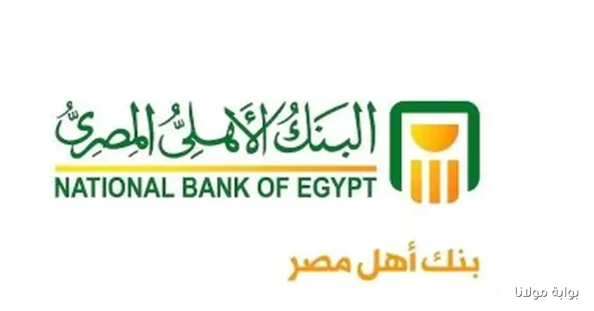 اكتشف أبرز شهادات البنك الأهلي المصري وما تقدمه لك من مزايا