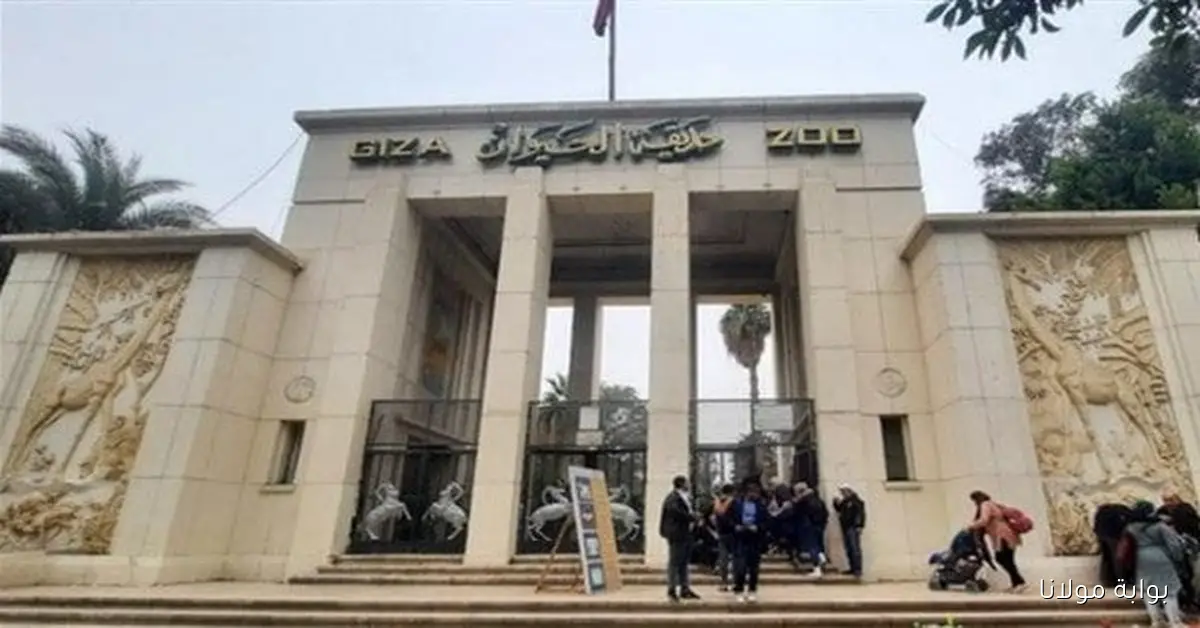 اكتشف أحدث المستجدات حول تطوير حديقتي الحيوان والأورمان وما ينتظركم عند الافتتاح