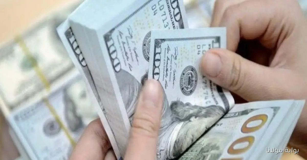 أحدث تغيرات أسعار الدولار في البنوك المصرية اليوم الجمعة 3 أكتوبر 2025