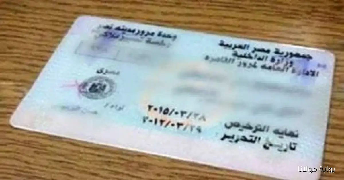 اكتشف كيفية استخراج الأوراق في دقائق من خلال وحدات إلكترونية مخصصة لتسهيل تراخيص المركبات