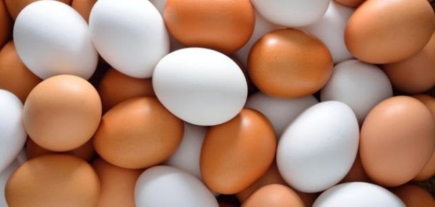 سعر كرتونة البيض اليوم الأحد 5 أكتوبر 2025