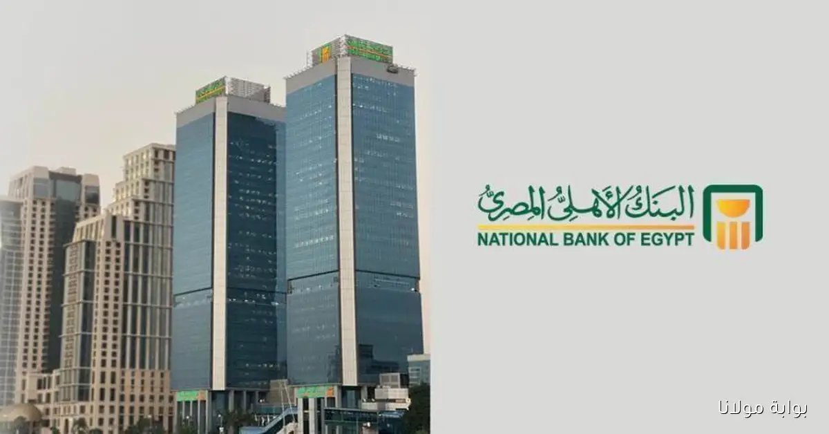 البنك الأهلي المصري يعلن أسعار الفائدة الجديدة للشهادة البلاتينية المتغيرة بعد خفض مفاجئ بنسبة 1%