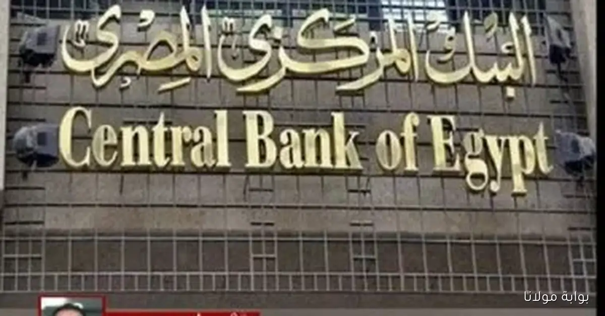 البنك المركزي يعلن عن زيادة الاحتياطي الأجنبي ليصل إلى 49.533 مليار دولار في نهاية سبتمبر